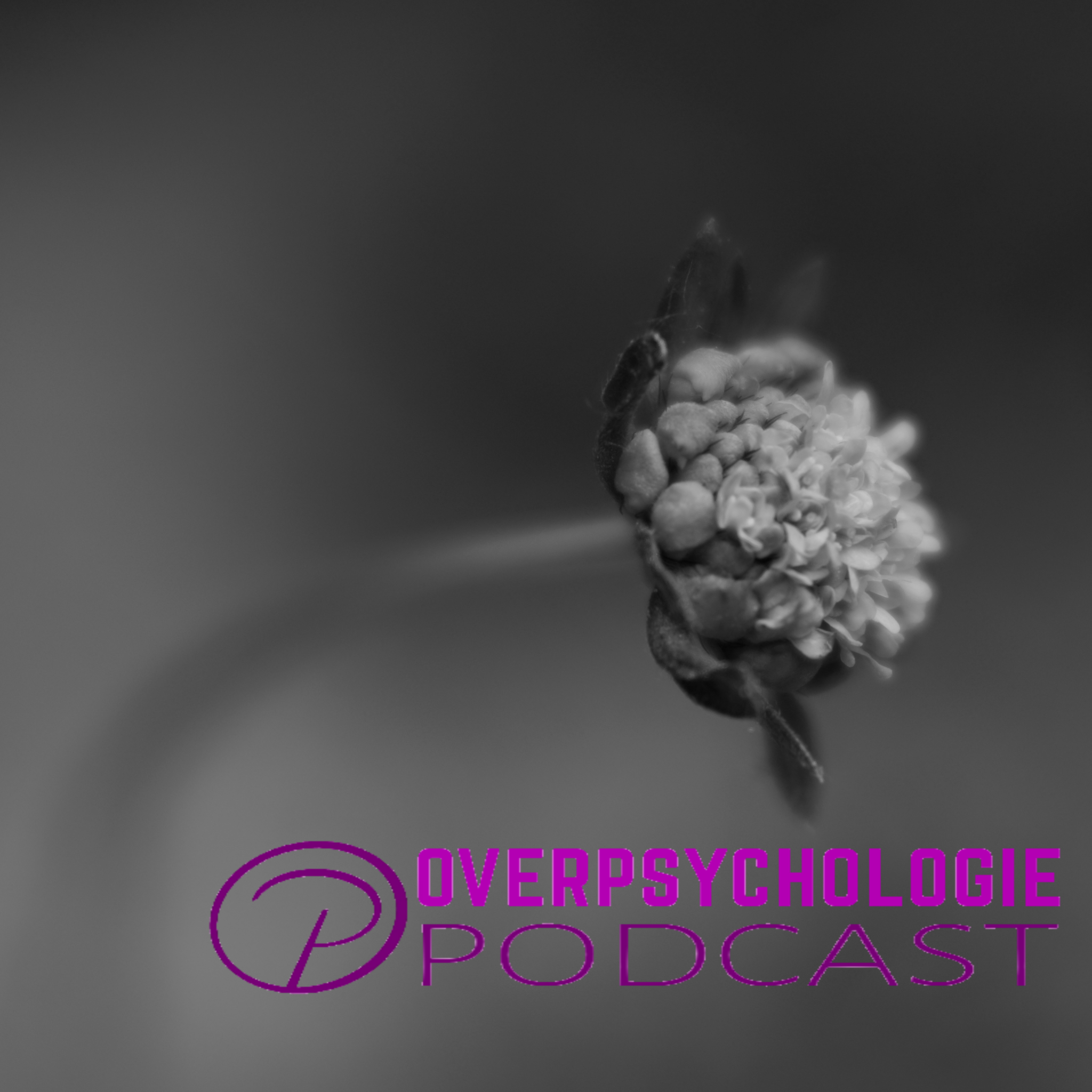 Professionele en persoonlijke ontwikkeling podcast artwork