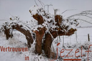 Vertrouwen in de wintermaanden