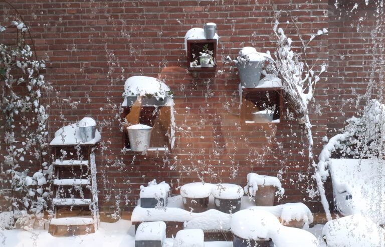 Niets doen in de winter