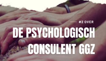 De psychologisch consulent GGZ