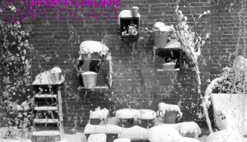 Doe maar even niets in de winter