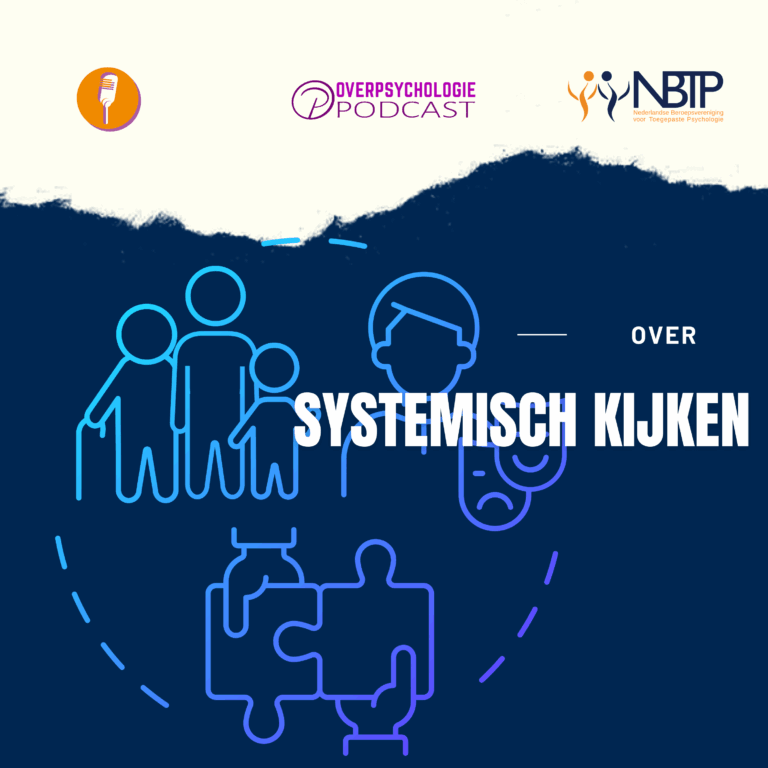 Systemisch kijken