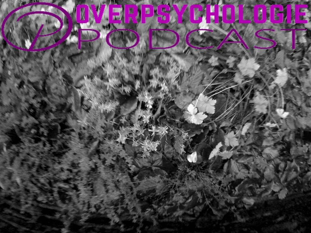 Bodemonderzoek, waar jij vandaan komt