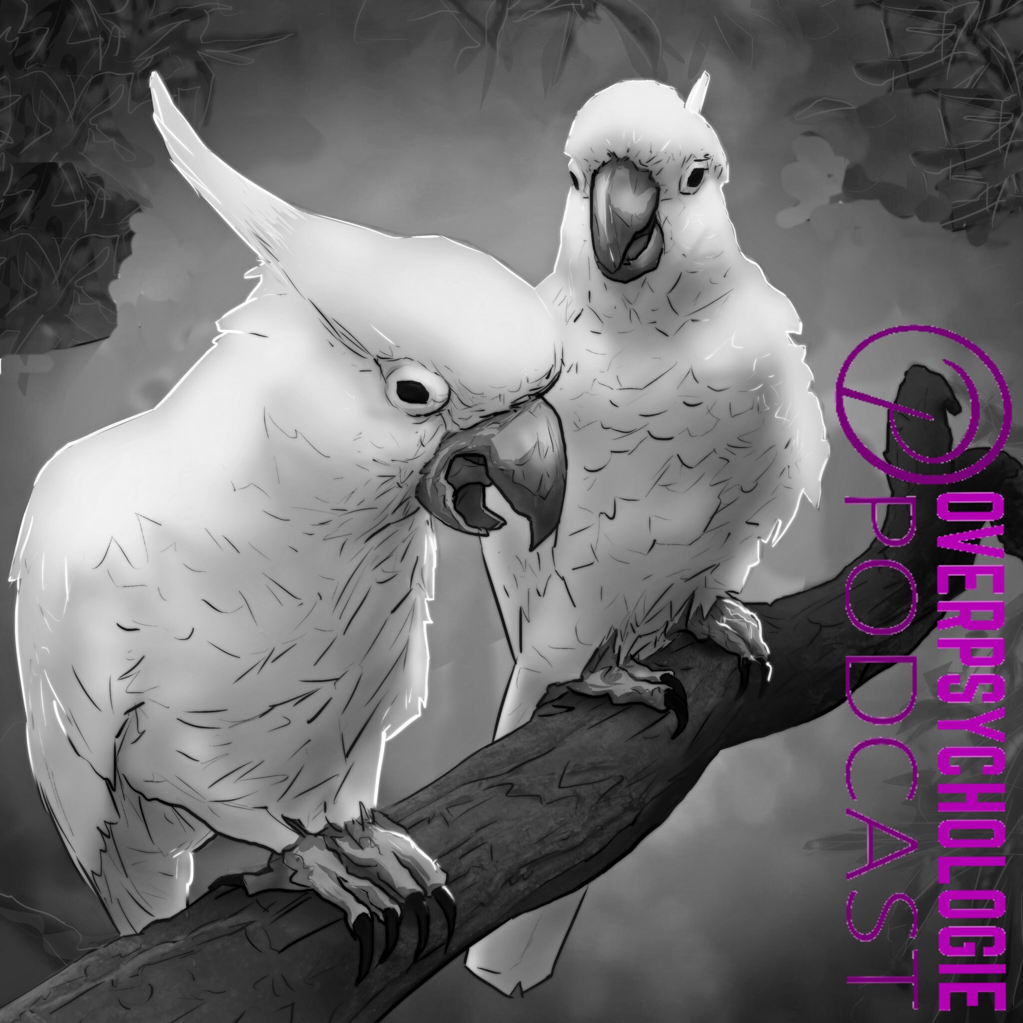 De kunst van het dialoog episode artwork