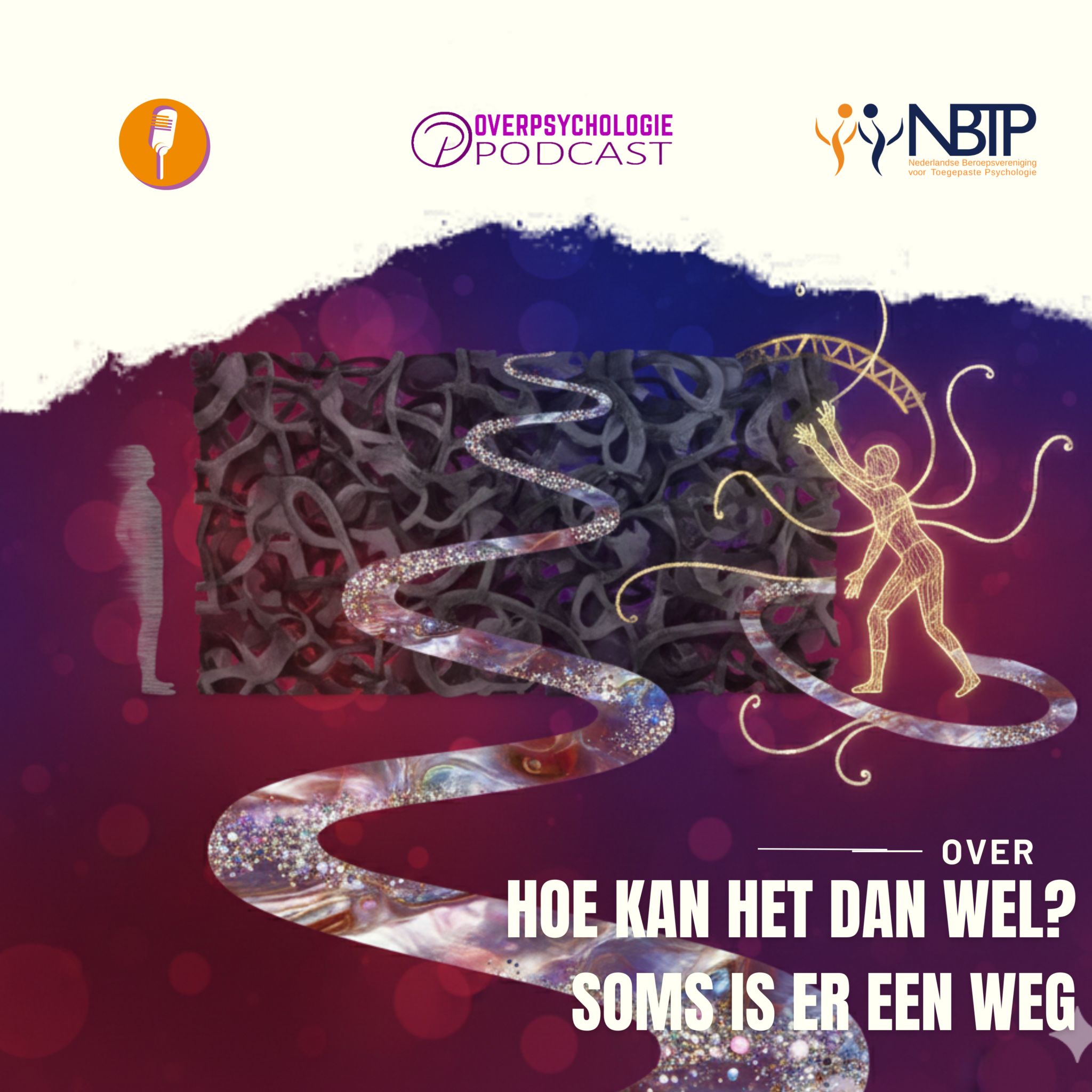Hoe kan het dan wel? Soms is er een weg. episode artwork